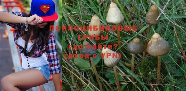 mdpv Гусев