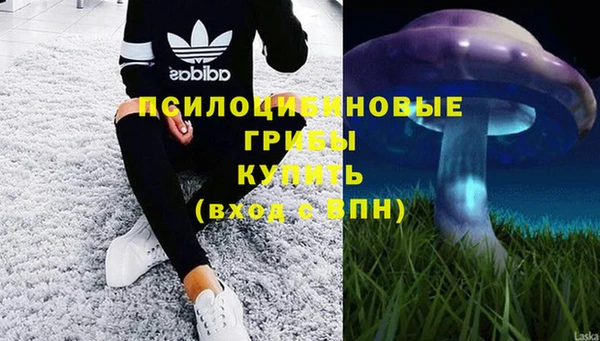 тгк Гусь-Хрустальный