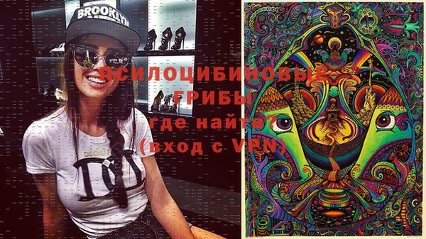 mdpv Гусев