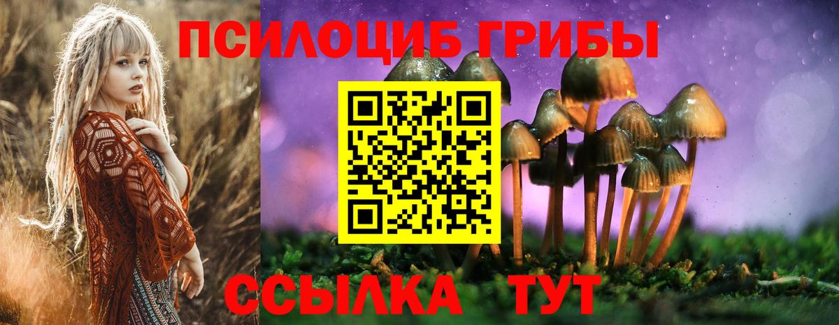 Томск  Галлюциногенные грибы Psilocybine cubensis  Вход с VPN 