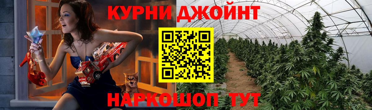 Бошки марихуана план Томск